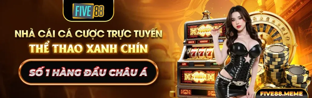 Biểu đồ chiến lược chơi đá gà hiệu quả