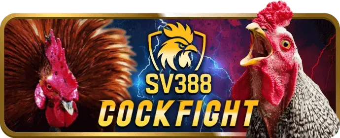 Gà chọi dũng mãnh trên nền tảng bet365 nổ hũ